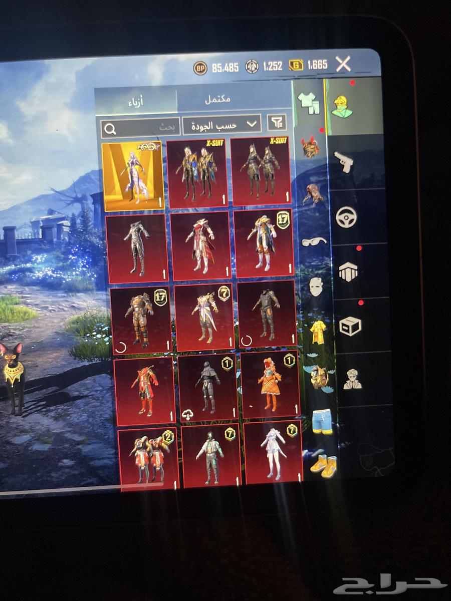 حساب ببجي للبيع64490262481282111