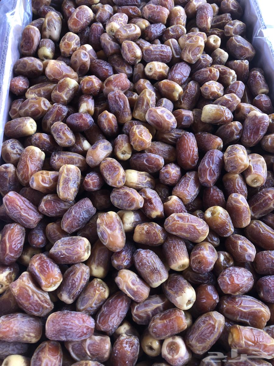 Red high-quality dates for sale64491605603714111