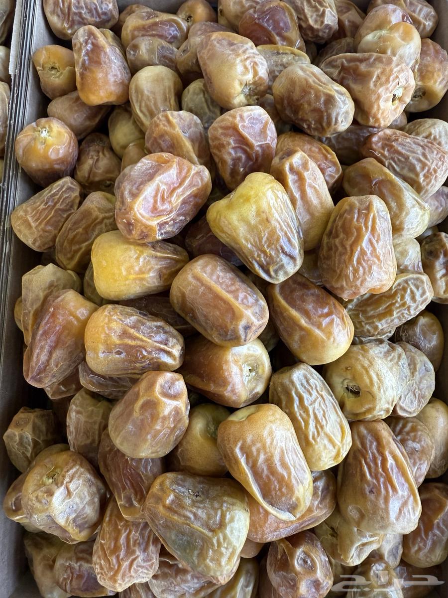 Luxury Twisted Sukkari Dates64490935966849111