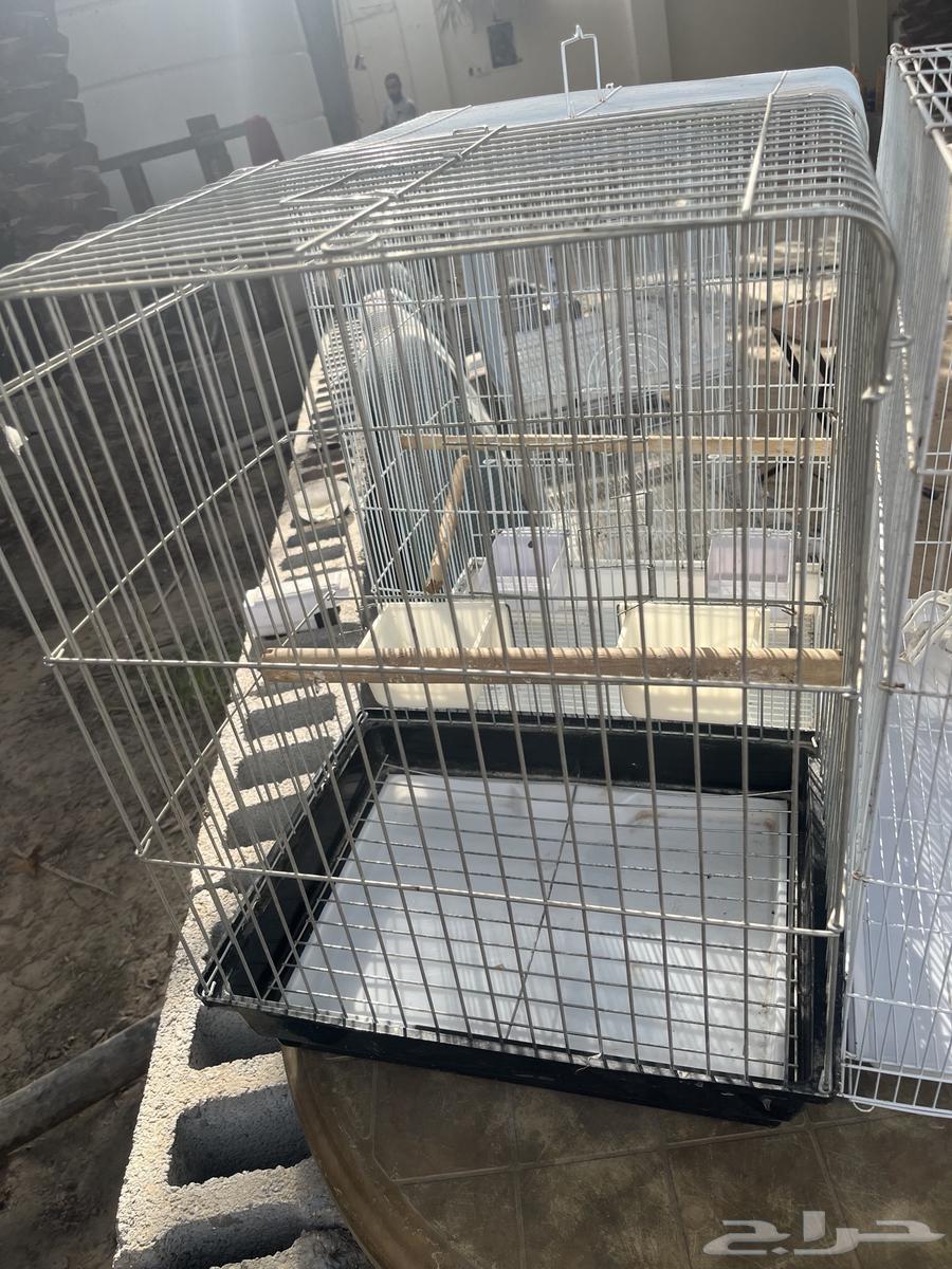 اقفاصه للبيع على على اسوم64494194412035110