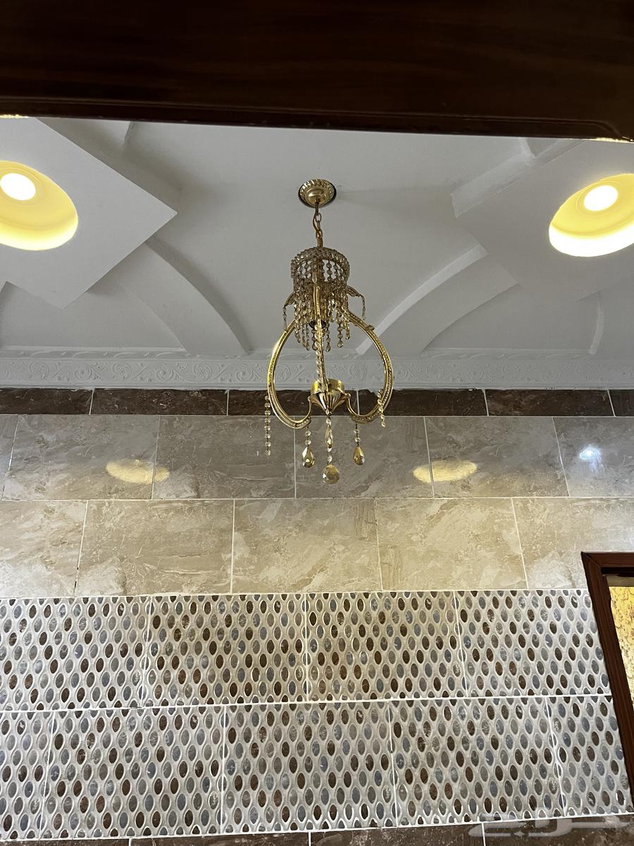 ثريه للبيع على السوم تبوك النظيم64492461044738114