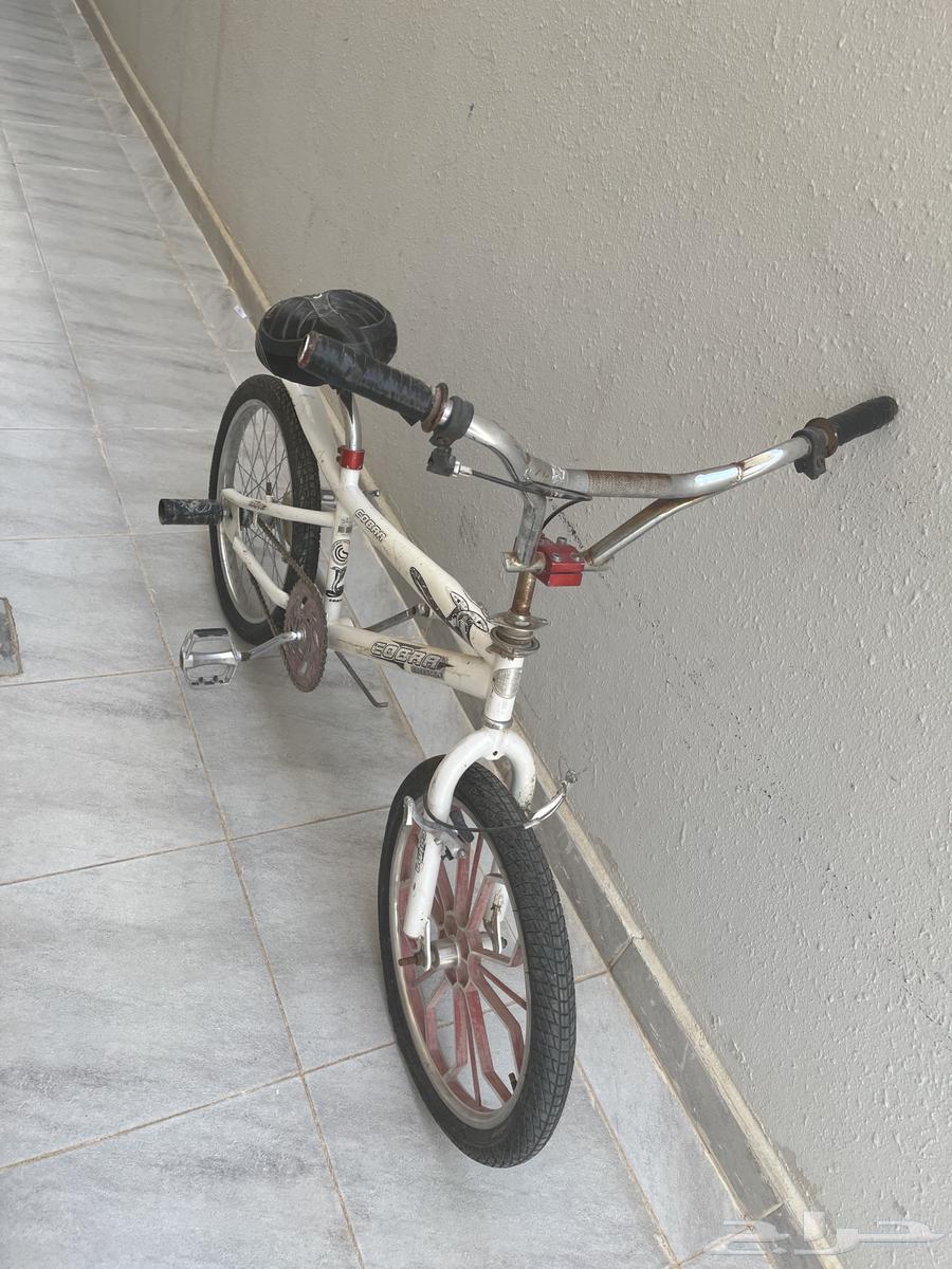 Rare Cobra Cycle64491116741122113
