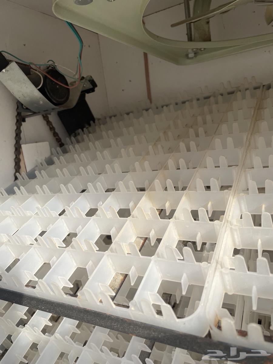 فقاسة للبيع64492134900482112