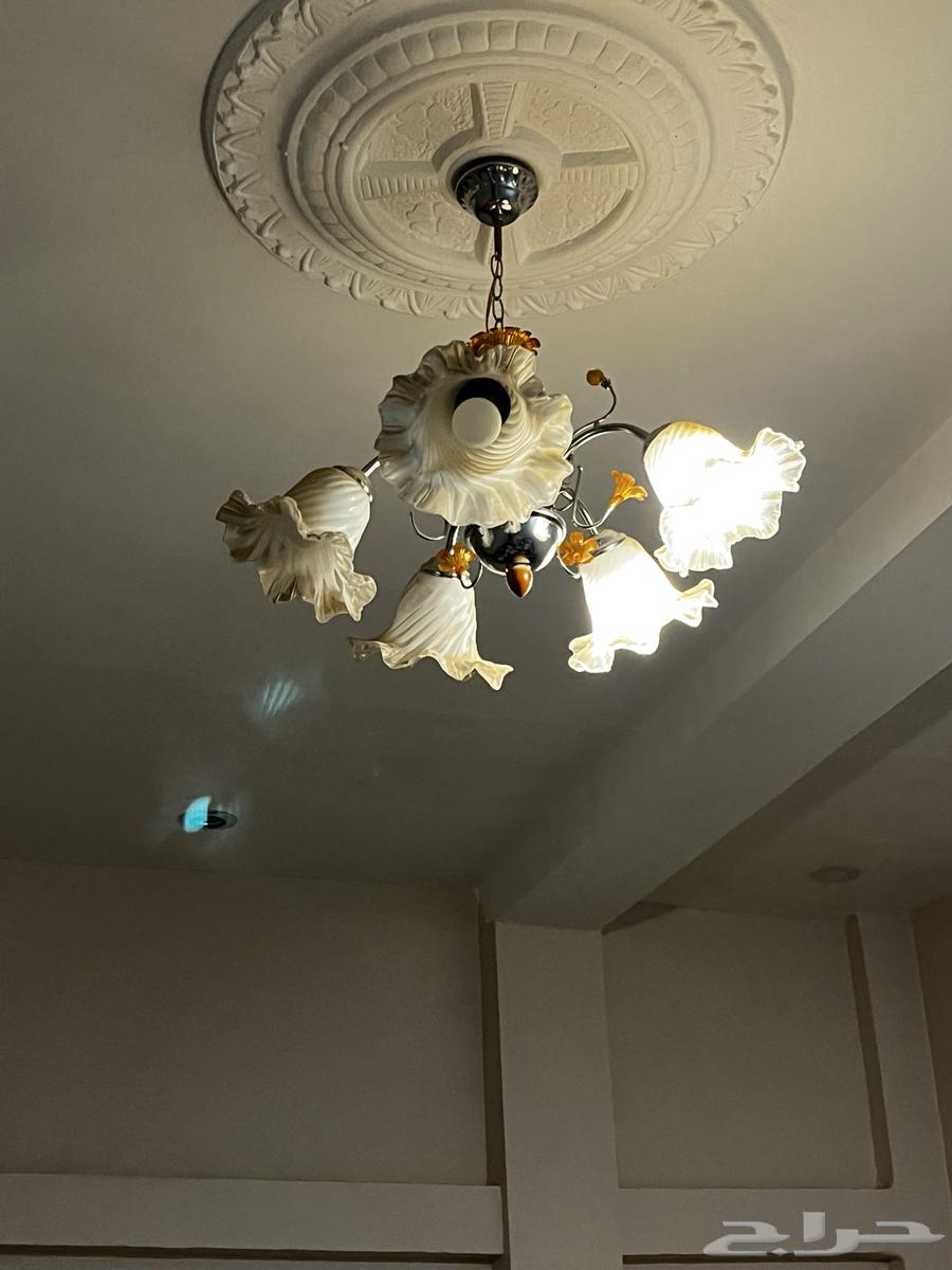 ثريه للبيع على السوم تبوك النظيم64492461044738111