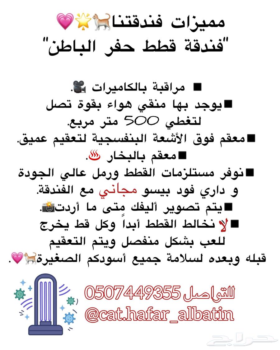 فندقة قطط حفر الباطن64227053166978114