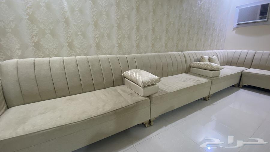 Clean sofa, used for 7 months (foam and wood are intact), very clean64494071617537111