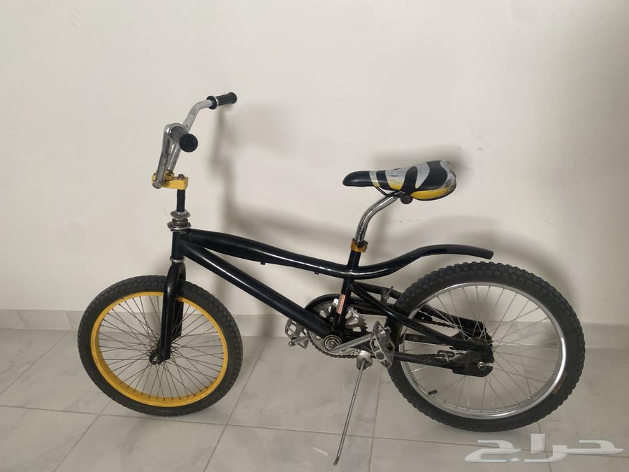 Cobra bicycle size 2064490605128833110