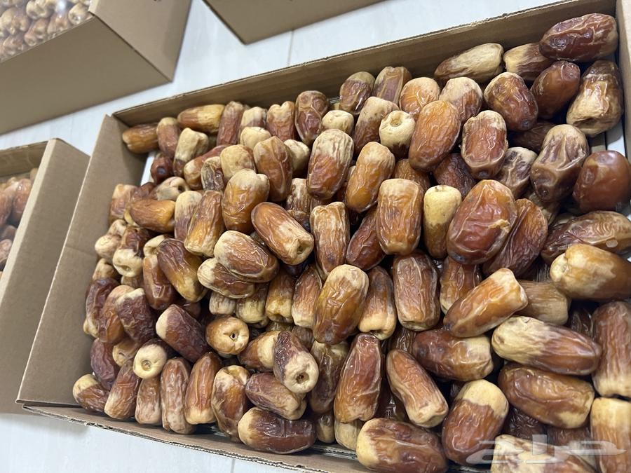 Saqi Dates (Tayyib)64489212038659112