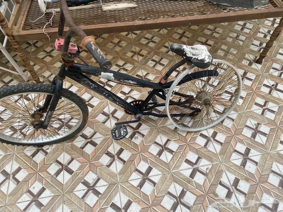 سيكل وعربية للبيع64492053887362112