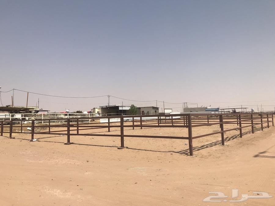 New network with a tank and well at the Camel Market64492243961347110