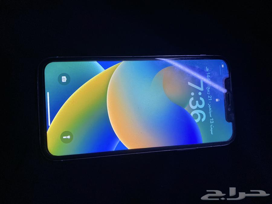 iPhone X64492853901315110