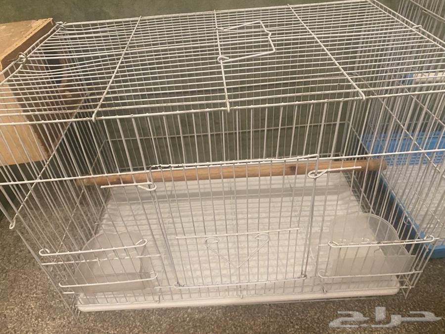 Clean cages64492053918209113