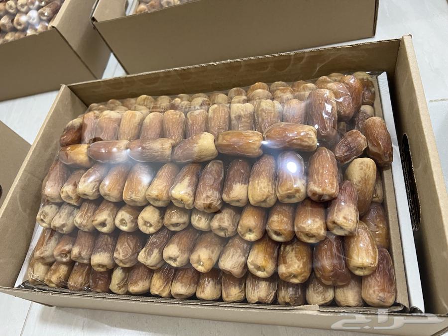 Saqi Dates (Tayyib)64489212038659114