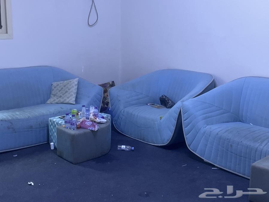 Screen table64486799394178111