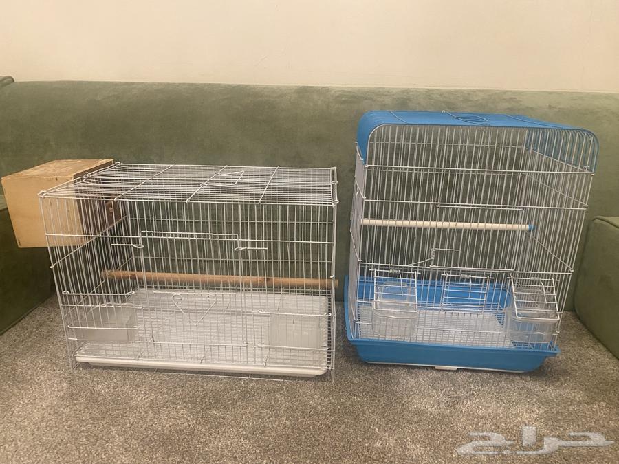 Clean cages64492053918209110