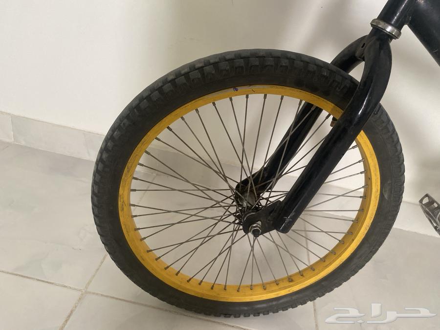 Cobra bicycle size 2064490605128833113