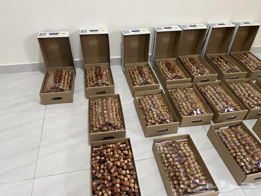 Saqi Dates (Tayyib)64489212038659111