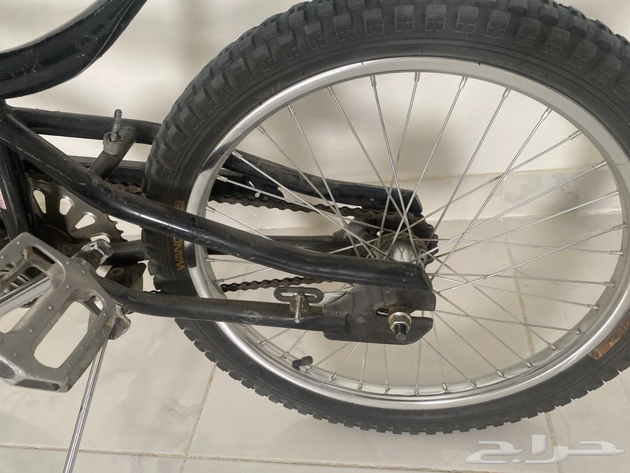 Cobra bicycle size 2064490605128833112