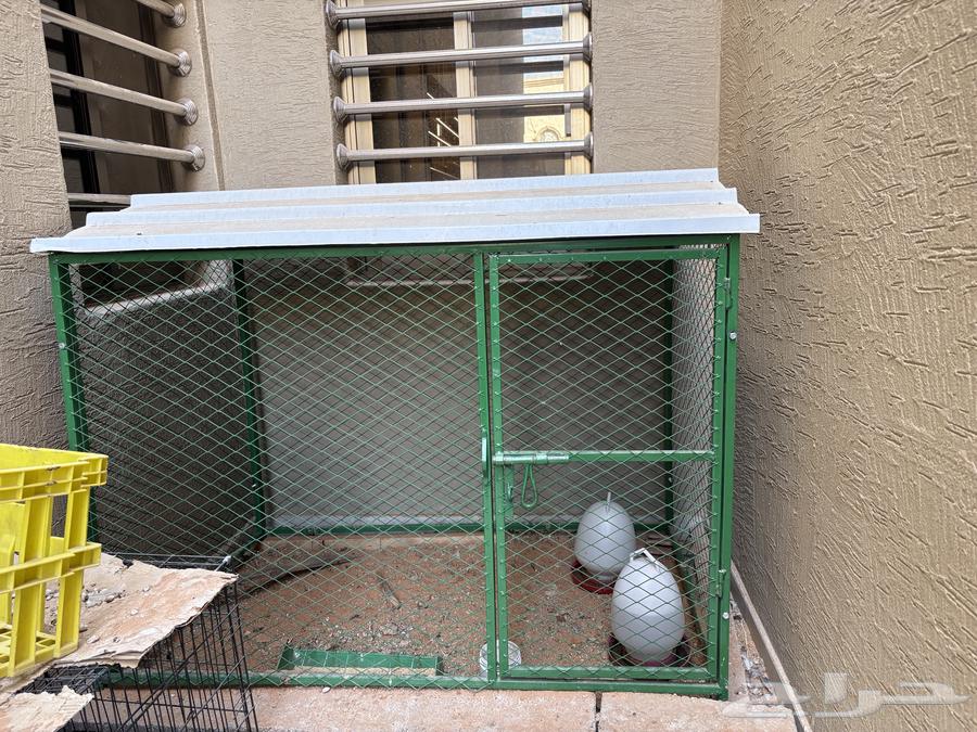 Pigeon coop with baklava shape (Sold)64492013631235110
