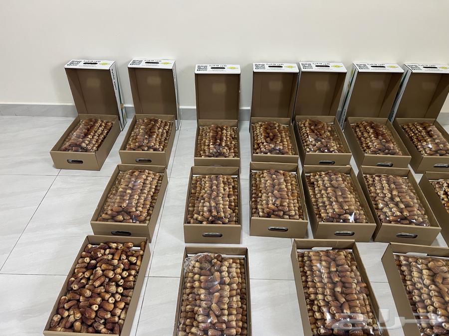 Saqi Dates (Tayyib)64489212038659110