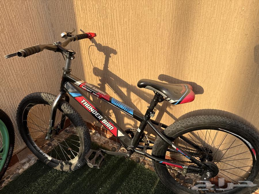 سياكل للبيع64491387518467113