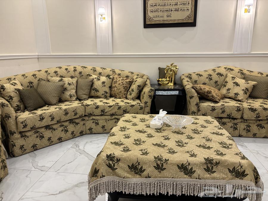 Olive-colored sofa set64492799620225113