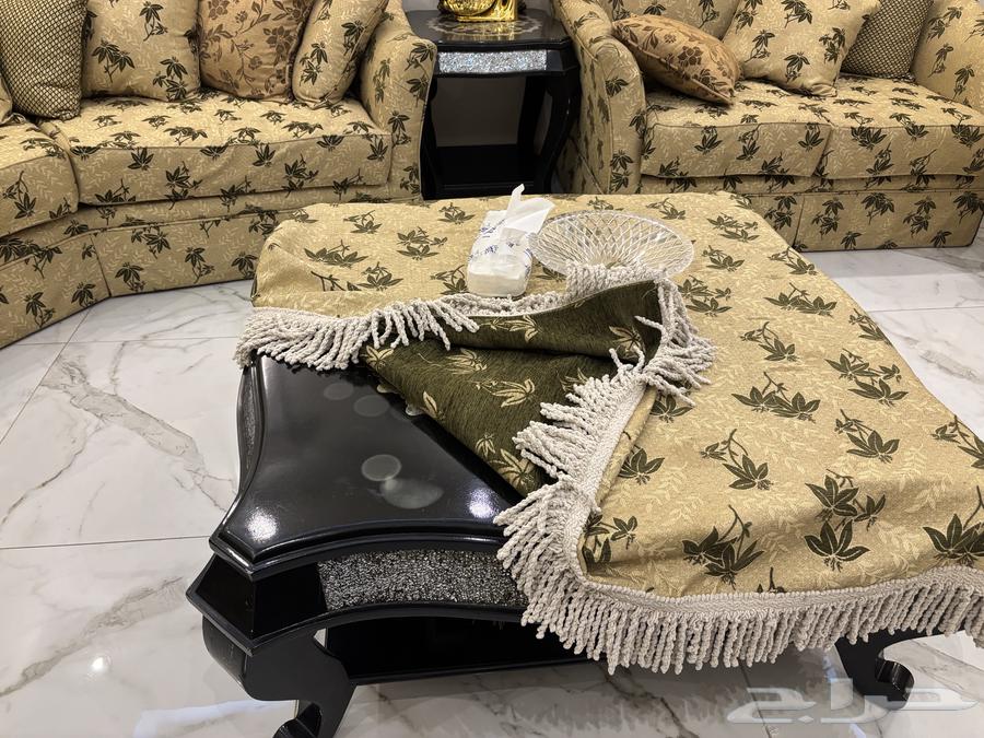 Olive-colored sofa set64492799620225111