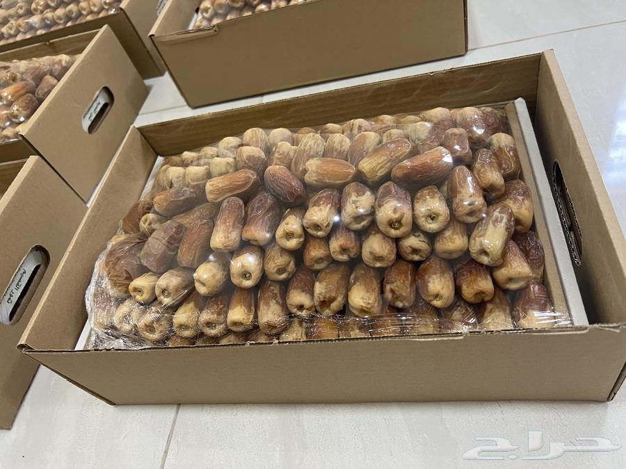 Saqi Dates (Tayyib)64489212038659113