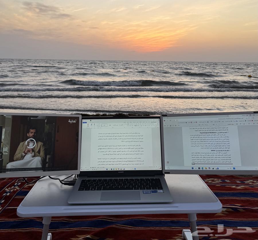 شاشة لابتوب ثلاثية64484717452803114