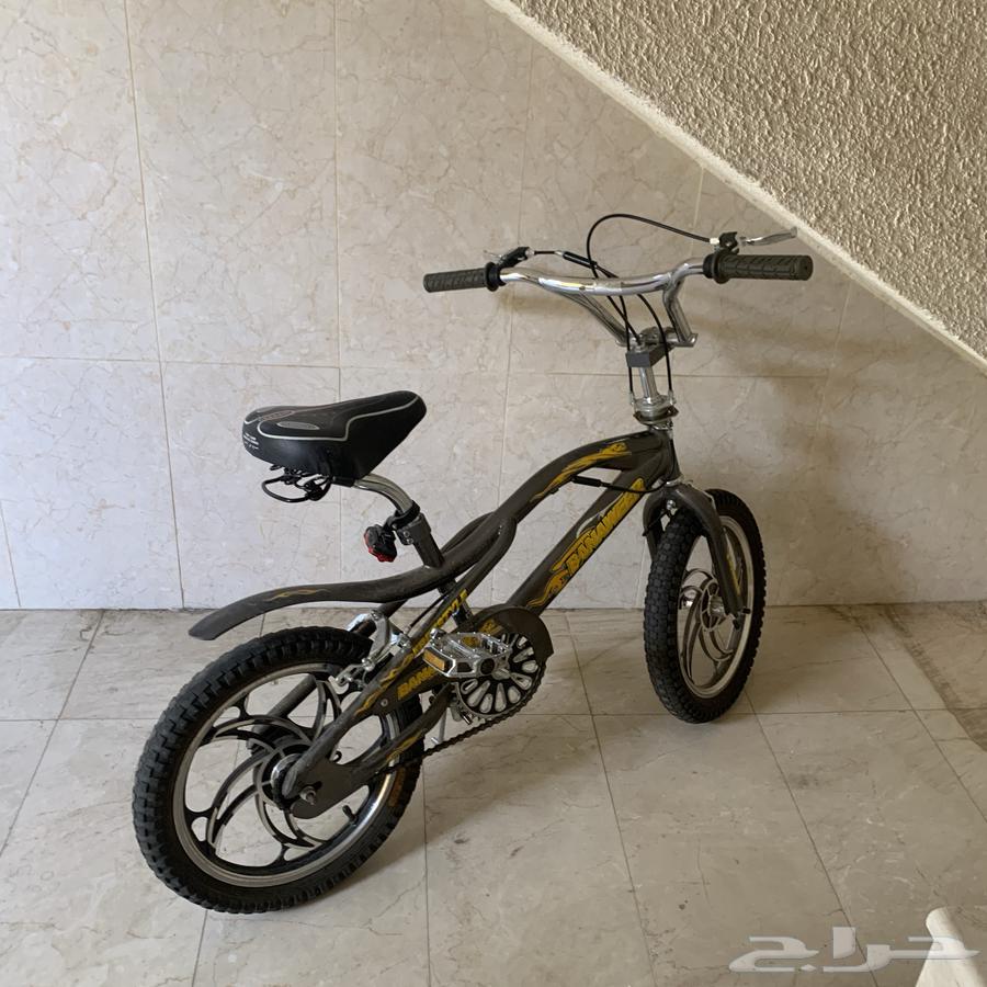 سيكل للبيع السوم خاص64491170651137112