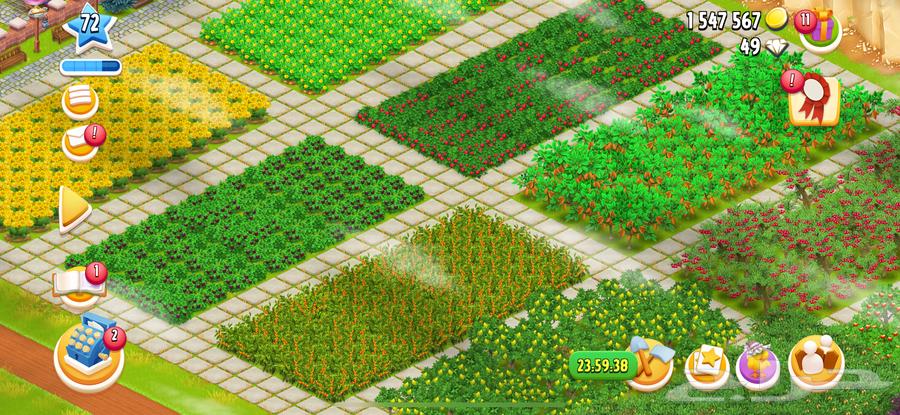 لعبه كلاش اوف كلانس ولعبه هاي داي وRise ofkingdoms64489766276737111