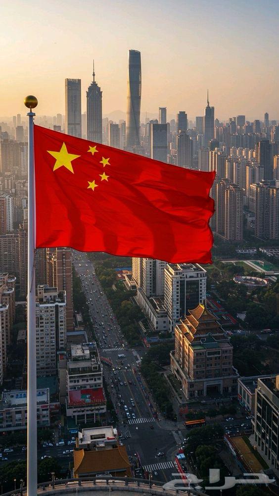 Import company from China64147437032451110