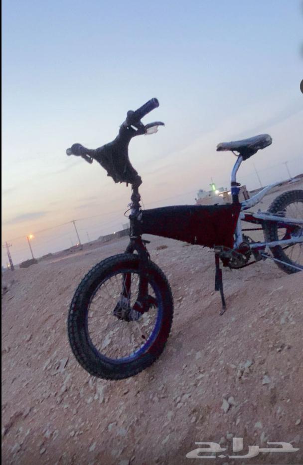 Cyclone Cobra64489558813699110