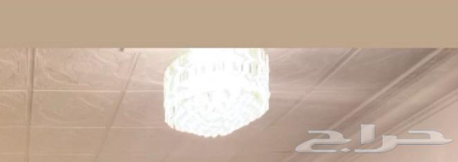 ثريا حبتين للبيع64490701709826111