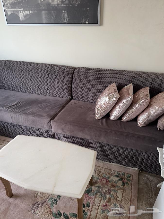 Sofa64490399557506113