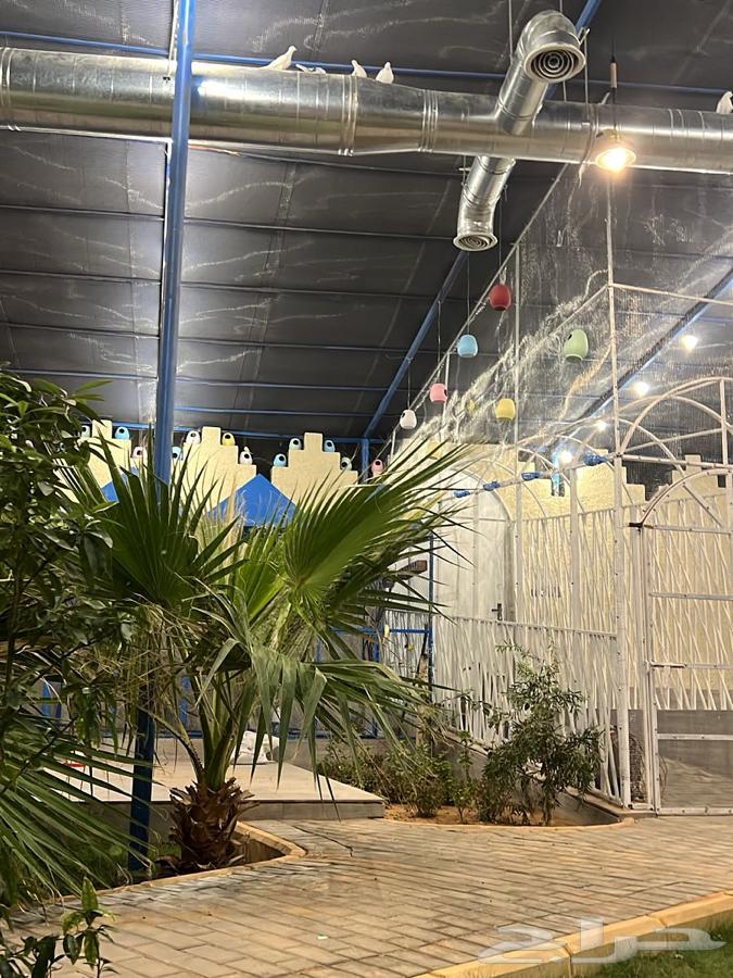 محمية روز للإيجار اليومي وبالساعة64444620477955111