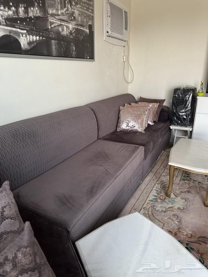 Sofa64490399557506114