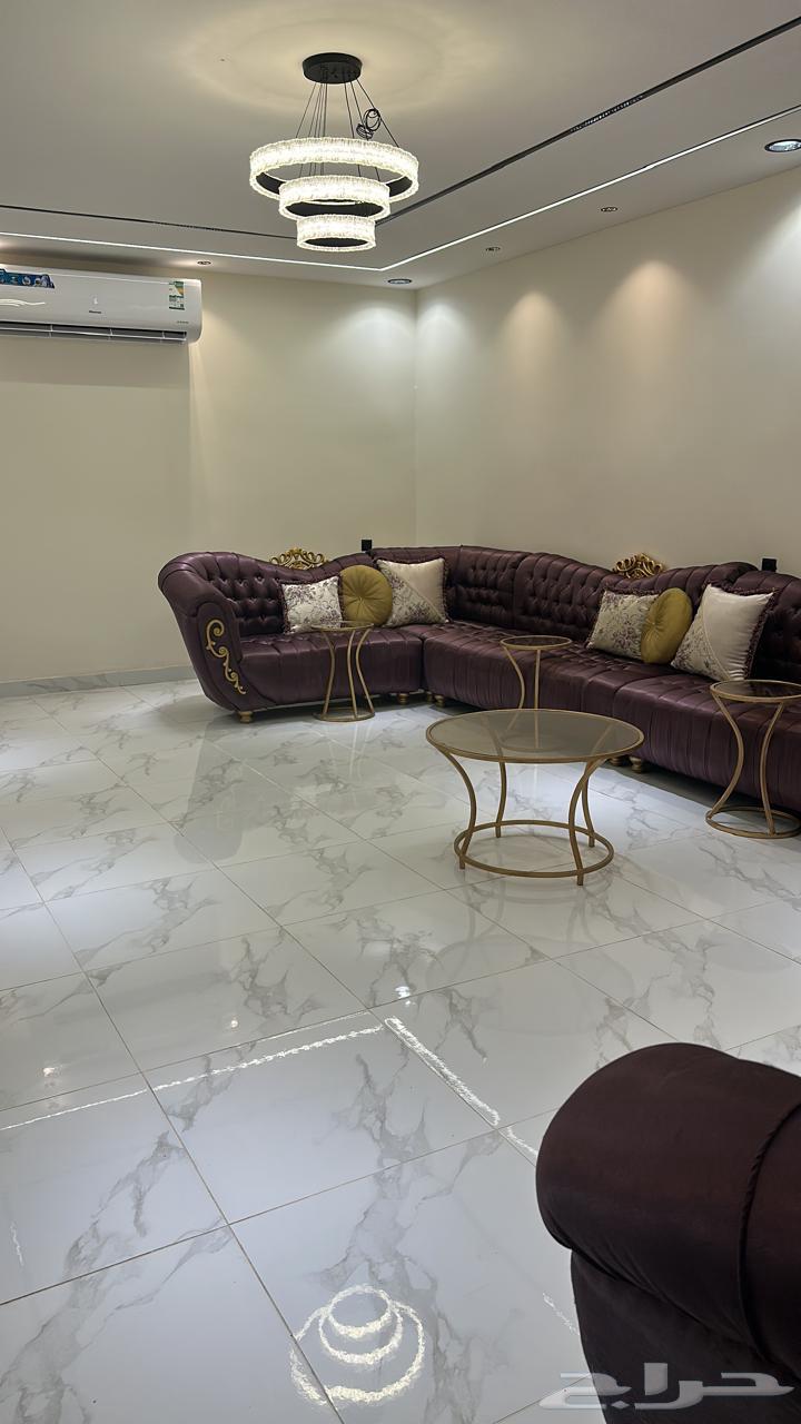 Sofa64486979721986113