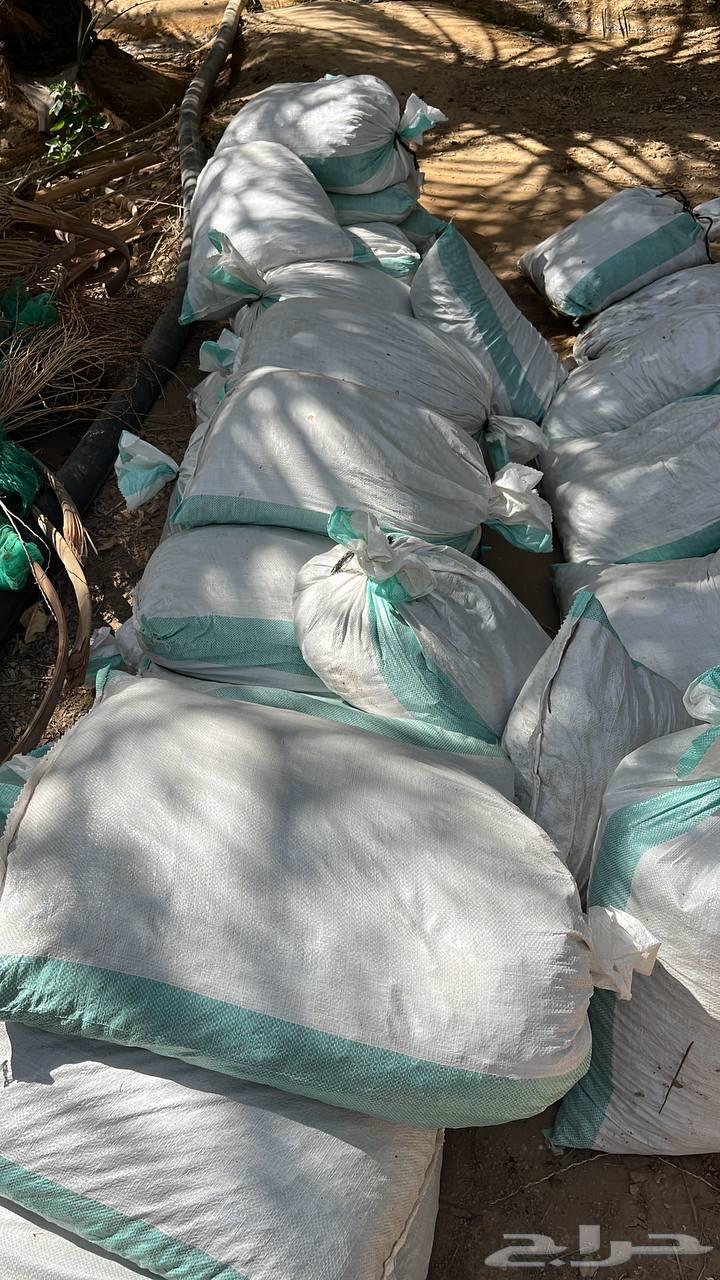 Premium dates64490619052675110