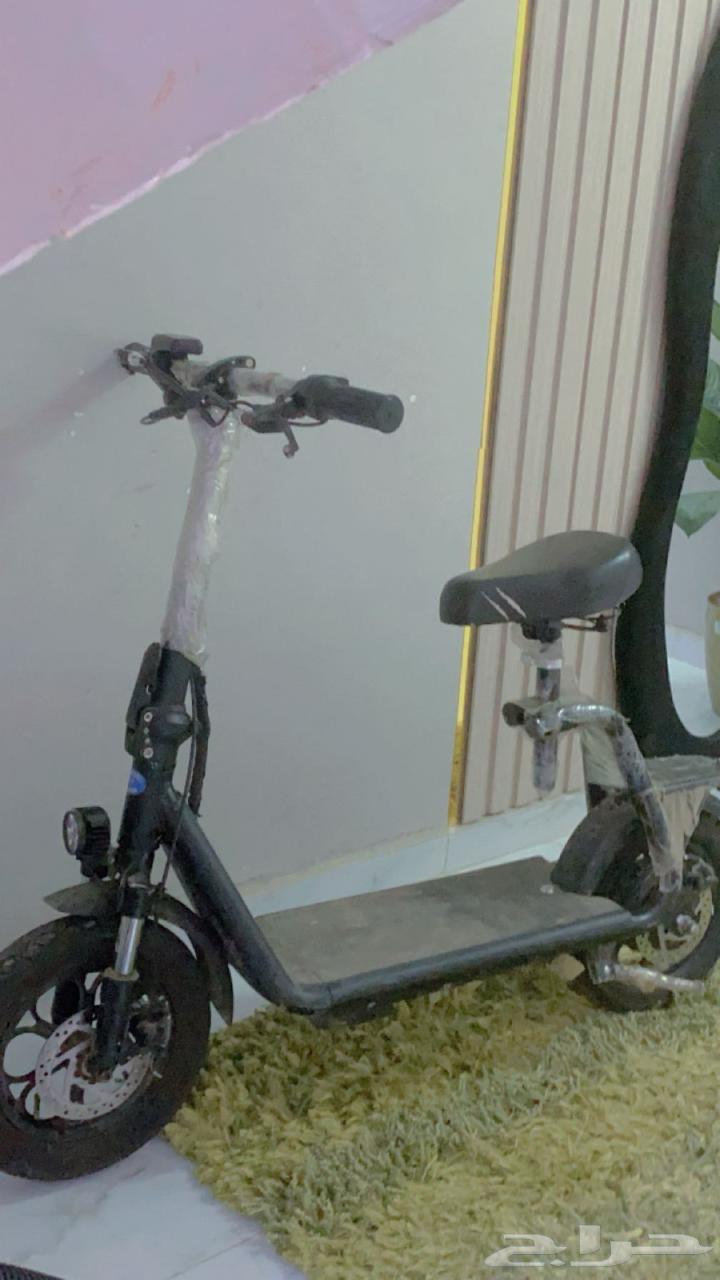 Scooter64486524231299110