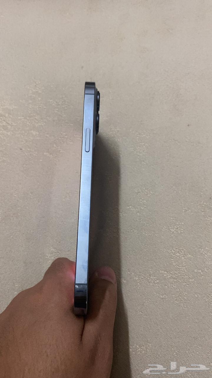 iPhone 13 Pro Max64491605668866113