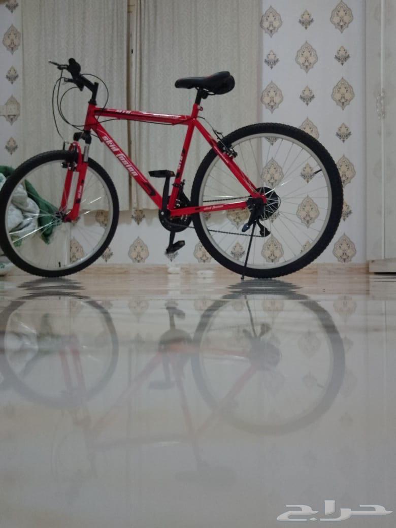 Bicycle size 2564490096113154110