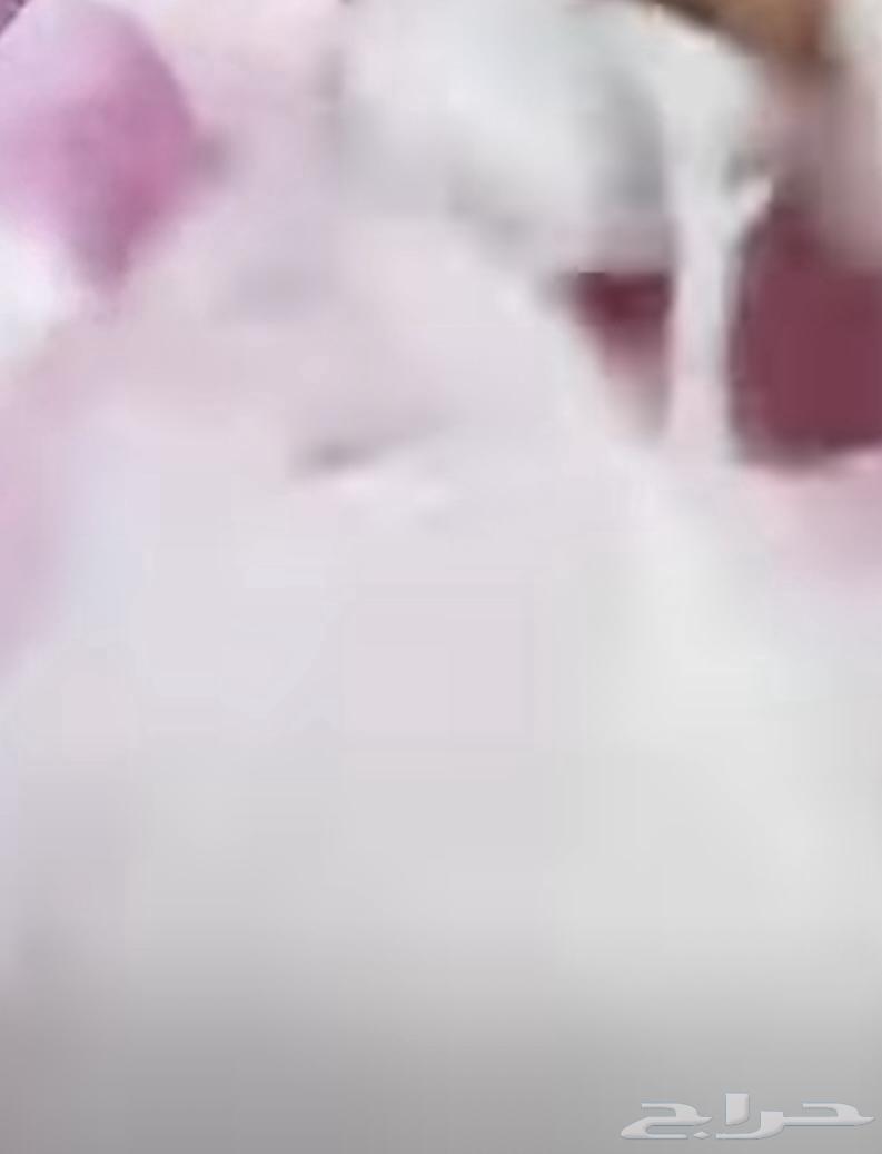 قطن للبيع نظيف جدا استخدام بسيط64492555027843111