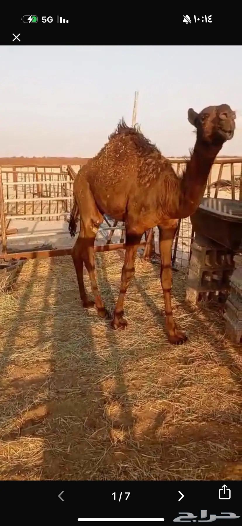 Seating64488034864002110