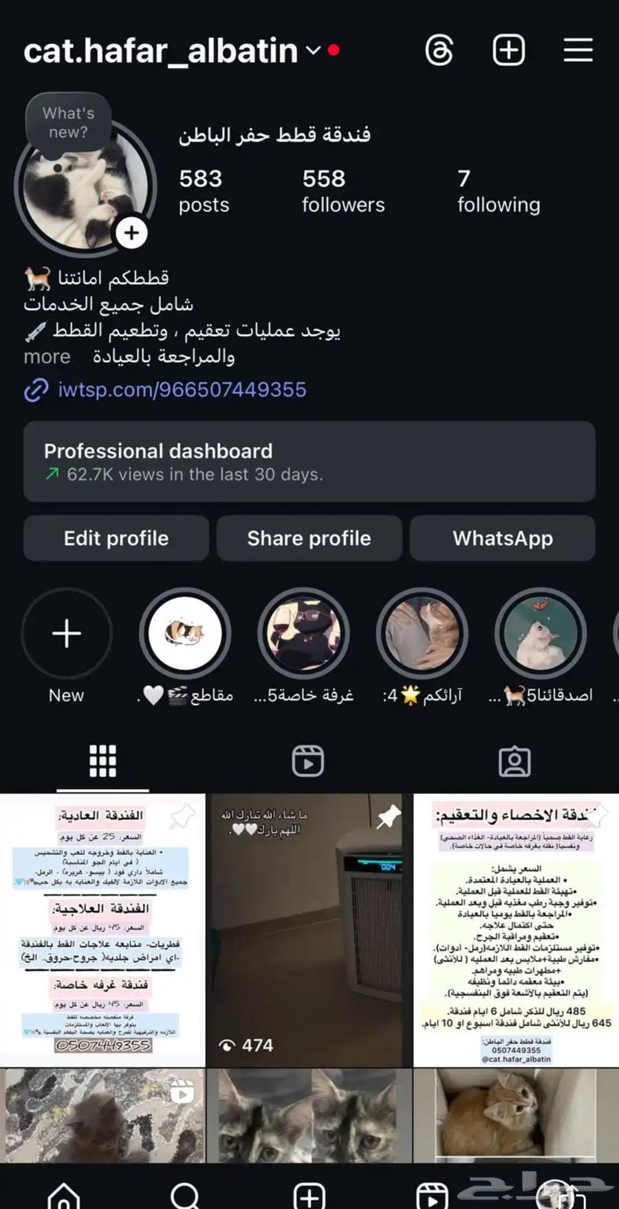 فندقة قطط حفر الباطن64227053166978111