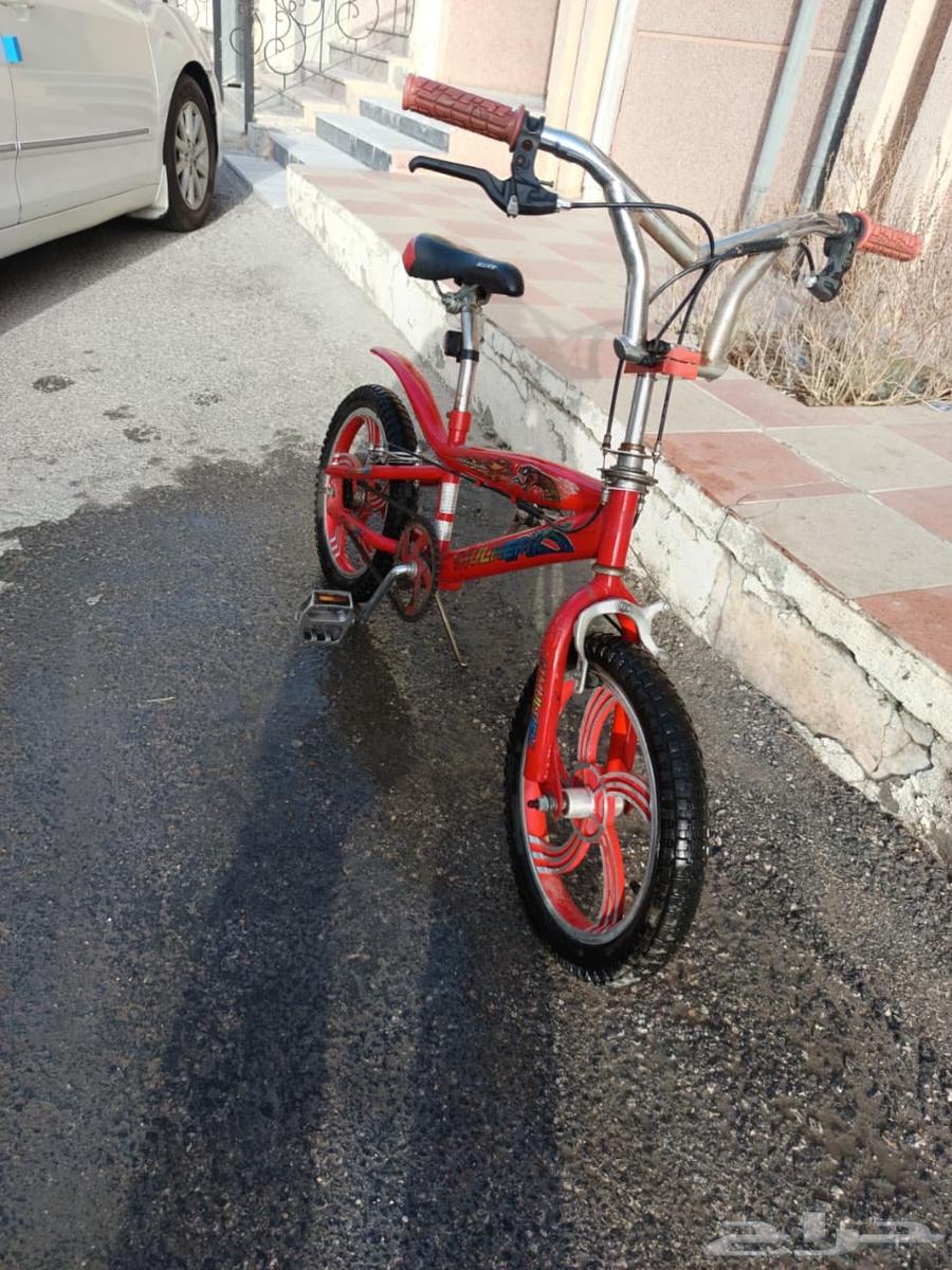 بيع سيكل64491252290691110