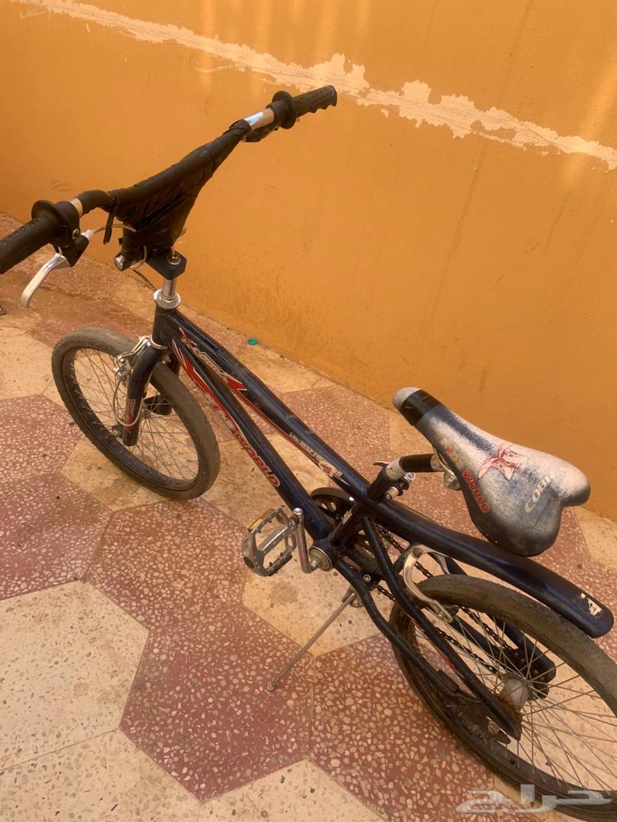 سيكل للبيع نوع كوبراء64488353642369111