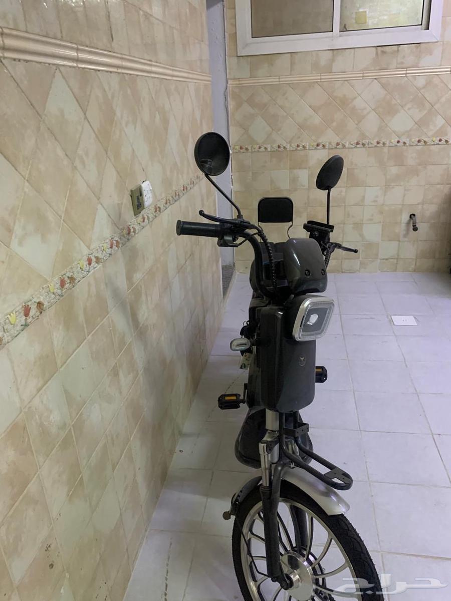 سكوتر مايشكي من شي بس فيه كفر خلفي64490843436801110