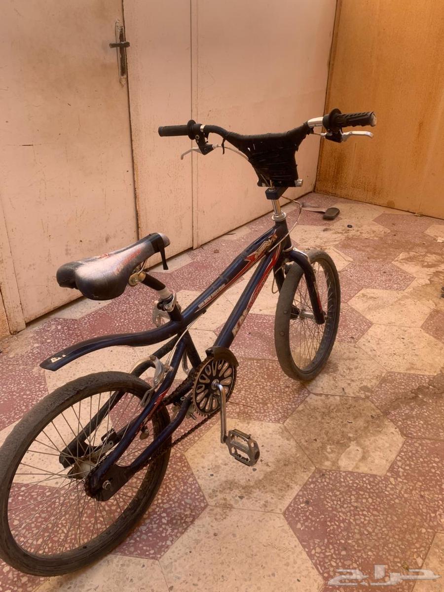 سيكل للبيع نوع كوبراء64488353642369112