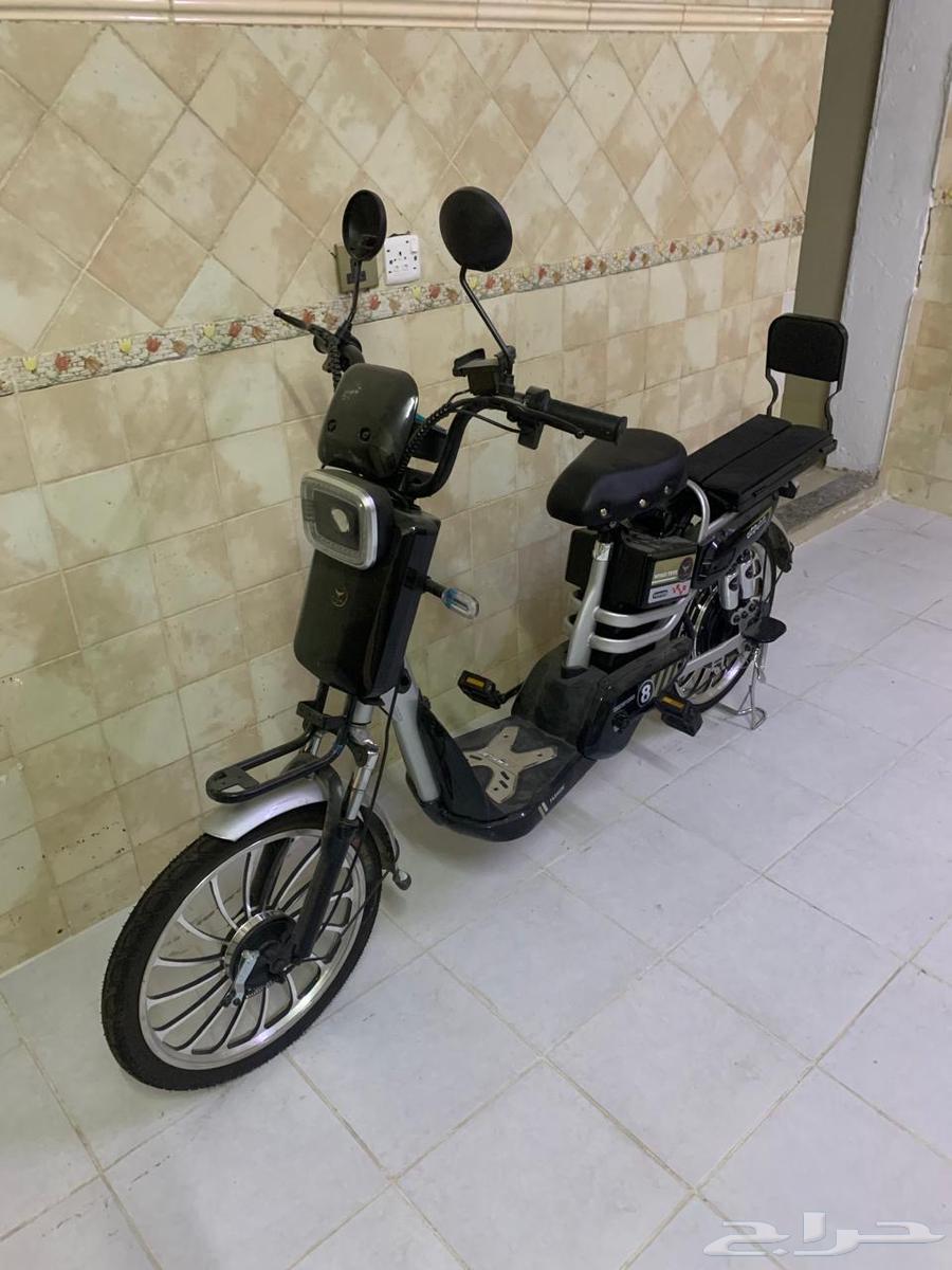 سكوتر مايشكي من شي بس فيه كفر خلفي64490843436801111